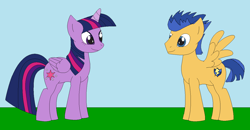 Size: 1342x696 | Tagged: safe, artist:marybethemberjoy49-1, flash sentry, twilight sparkle, alicorn, pegasus, pony, g4, duo, female, male, mare, ship:flashlight, shipping, stallion, straight, twilight sparkle (alicorn)