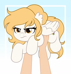 Size: 1975x2048 | Tagged: safe, artist:jhayarr23, oc, oc only, oc:bountiful harvest, oc:harvest bounty, human, pegasus, pony, annoyed, bat ears, blonde mane, blonde tail, female, gradient background, held up, holding a pony, mare, pegasus oc, solo, tail