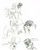 Size: 1100x1363 | Tagged: safe, artist:baron engel, dj pon-3, vinyl scratch, oc, oc:petina, pony, unicorn, g4, female, goggles, horn, implied flutterdash, implied lesbian, implied rainbow dash, implied shipping, mare, minimalist, monochrome, pencil drawing, simple background, traditional art, white background