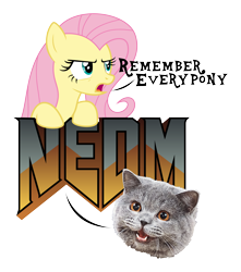 Size: 4000x4526 | Tagged: safe, artist:kaitykat117, fluttershy, cat, pony, g4, dialogue, duo, happycat, meme, nedm, not even doom music, open mouth, serious, simple background, talking, talking to viewer, transparent background, vector, ytmnd