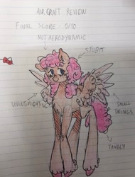 Size: 3000x3938 | Tagged: safe, artist:youssoupoff, oc, oc only, pegasus, pony, chest fluff, female, knee swirl, lined paper, mare, notebook, pegasus oc, review, smiling, solo, spread wings, tail, traditional art, unshorn fetlocks, wings