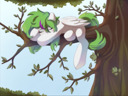 Size: 1789x1343 | Tagged: safe, artist:heashtsu, oc, oc only, oc:dife, pegasus, pony, commission, cute, female, green mane, mare, sky, sleeping, solo, tree, tree branch, white coat, ych result