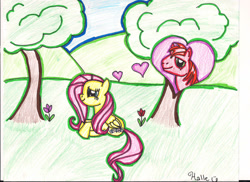 Size: 827x602 | Tagged: safe, artist:aynstainxpenelope, big macintosh, fluttershy, earth pony, pegasus, pony, g4, female, flower, heart, male, mare, ship:fluttermac, shipping, stallion, straight, traditional art, tree