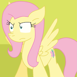 Size: 791x780 | Tagged: safe, artist:cmara, fluttershy, pegasus, pony, g4, female, solo, stare