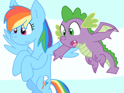 Size: 1020x761 | Tagged: safe, artist:cmara, rainbow dash, spike, dragon, g4, female, flying, male, solo, winged spike, wings