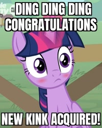 Size: 822x1029 | Tagged: safe, edit, edited screencap, screencap, twilight sparkle, alicorn, pony, g4, the point of no return, blushing, blushlight sparkle, caption, cropped, cute, embarrassed, female, frown, glowing, glowing horn, horn, image macro, mare, reaction image, sitting, text, twiabetes, twilight sparkle (alicorn), wide eyes