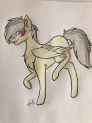 Size: 640x853 | Tagged: safe, artist:nahio.michelle7, oc, oc:thunder (fl), pegasus, pony, chest fluff, fur, simple background, solo, traditional art
