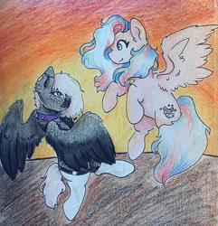 Size: 750x778 | Tagged: safe, artist:flutter paws, oc, oc:flutters, oc:onyxstar (fl), pegasus, pony, choker, clothes, flying, jewelry, looking at each other, looking at someone, necklace, socks, spiked choker, sunset, thigh highs