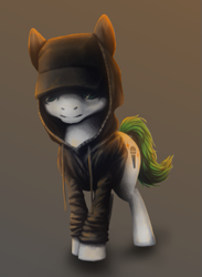 Size: 379x518 | Tagged: safe, artist:finnfox66, derpibooru exclusive, oc, oc only, oc:lo-fi, earth pony, black hoodie, cap, clothes, full body, gradient background, green tail, hat, hoodie, solo, tail, white coat