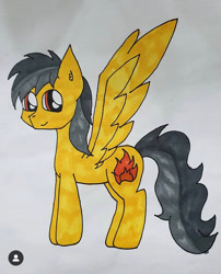 Size: 750x926 | Tagged: artist needed, source needed, safe, oc, oc only, oc:thunder (fl), pegasus, pony, male, not daring do, pegasus oc, simple background, solo, stallion, traditional art