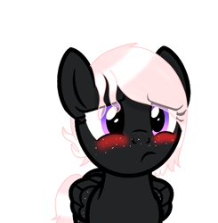 Size: 1174x1200 | Tagged: safe, artist:galactic studios, oc, oc:onyxstar (fl), pegasus, pony, ashamed, blushing, looking at you, png, simple background, solo, transparent background
