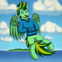 Size: 2000x2000 | Tagged: safe, artist:tacomytaco, oc, oc only, oc:taco.m.tacoson, pegasus, pony, clothes, cloud, flying, hand in pocket, hoodie, looking at you, male, ocean, open mouth, sky, smiling, solo, spread wings, water, wings