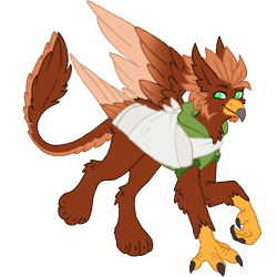 Size: 1000x1000 | Tagged: safe, artist:kazmuun, oc, oc only, oc:pavlos, griffon, bandage, beak, broken bone, broken wing, cast, cheek fluff, claws, clothes, colored wings, commission, eared griffon, griffon oc, injured, male, non-pony oc, one wing out, simple background, sling, smiling, solo, tail, transparent background, wings
