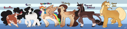 Size: 4018x928 | Tagged: safe, alternate version, artist:greenarsonist, applejack, fluttershy, pinkie pie, rainbow dash, rarity, twilight sparkle, alicorn, earth pony, pegasus, pony, unicorn, g4, alternate design, chubby, fat, female, folded wings, headcanon, horn, mane six, muscles, muscular female, natural eye color, natural hair color, nonbinary, skinny, spread wings, straw in mouth, thin, tooth, trans female, transgender, twilight sparkle (alicorn), unshorn fetlocks, wings
