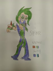 Size: 4096x3072 | Tagged: safe, artist:elijahzx360, spike, dog, dragon, human, equestria girls, g4, g5, spoiler:g5, context in description, ninja, scar, solo, spike the dog, spikes, traditional art