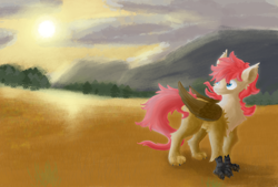 Size: 7736x5240 | Tagged: safe, artist:pzkratzer, oc, oc:ponygriff, hybrid, ponygriff, looking back, male, solo, sunset