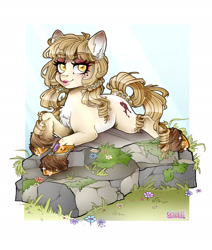 Size: 1920x2265 | Tagged: safe, artist:sk-ree, oc, oc:oh lala, earth pony, pony, big eyes, birthmark, blushing, braid, braided pigtails, chest fluff, clothes, coral, curly mane, ear fluff, eyebrows, eyeshadow, female, flower, grass, jewelry, looking at you, lying down, makeup, mare, moss, pigtails, prone, rock, shoes, sky, solo, sparkling, yellow eyes