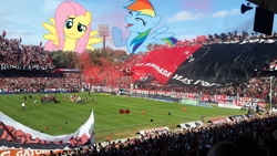 Size: 1200x675 | Tagged: safe, artist:flutterguy317, artist:scrimpeh, editor:jojodidu, fluttershy, rainbow dash, human, pegasus, pony, g4, season 1, sonic rainboom (episode), argentina, balloon, best day ever, emblem, female, flag, football, football stadium, front view, giant pegasus, giant ponies in real life, giant pony, highrise ponies, irl, irl human, macro, mare, newell's old boys, open mouth, photo, ponies in real life, raised hoof, rosario, smiling, spanish text, sports, spread wings, stadium, wings