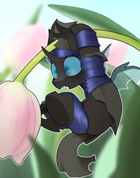 Size: 2100x2661 | Tagged: safe, artist:mochi_nation, part of a set, oc, oc only, oc:captain black lotus, changeling, armor, changeling oc, commission, flower, hanging, high res, micro, open mouth, solo, tulip, ych result
