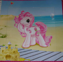 Size: 800x777 | Tagged: safe, egmont, desert rose, butterfly, earth pony, g3, official, 2d, beach, boat, book, looking at you, ocean, page, photo, sand, sandcastle, smiling, smiling at you, standing, water