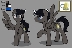 Size: 6485x4320 | Tagged: safe, artist:darkflame75, oc, oc only, oc:brew tap, pegasus, pony, male, one wing out, pegasus oc, raised hoof, reference sheet, stallion, wings