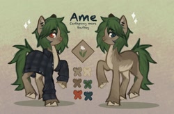 Size: 2266x1488 | Tagged: safe, artist:ametff3, oc, oc only, oc:ame, earth pony, pony, abstract background, alternate design, brown coat, clothes, coat markings, color palette, colored hooves, colored muzzle, colored pinnae, duality, ear piercing, earring, earth pony oc, eye clipping through hair, eyebrows, eyebrows visible through hair, eyelashes, facial markings, female, flannel shirt, freckles, green mane, green tail, heterochromia, jewelry, long tail, looking back, mare, messy mane, messy tail, open clothes, open shirt, pale belly, piercing, profile, raised hoof, reference sheet, shadow, smiling, solo, sparkles, standing, tail, text, two toned mane, two toned tail, unshorn fetlocks