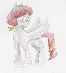 Size: 1530x1703 | Tagged: safe, artist:teochronico, oc, oc only, pegasus, pony, glasses, pegasus oc, pencil drawing, solo, traditional art