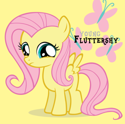 Size: 1000x992 | Tagged: safe, fluttershy, pegasus, pony, g4, artifact, blank flank, female, filly, filly fluttershy, foal, younger