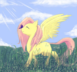Size: 668x626 | Tagged: safe, artist:valiumangel, fluttershy, butterfly, g4, butterfly on nose, female, happy, insect on nose, solo
