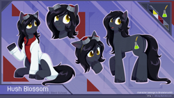 Size: 1920x1080 | Tagged: safe, artist:willoillo, oc, oc:hush blossom, oc:silent echoes, earth pony, pony, fallout equestria, clothes, commission, emotes, goggles, lab coat, reference sheet