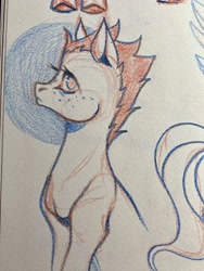Size: 1536x2048 | Tagged: safe, artist:rozmed, oc, oc only, earth pony, pony, freckles, sketch, traditional art
