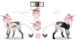 Size: 3285x1825 | Tagged: safe, artist:pixelberrry, oc, oc only, oc:itami, pony, unicorn, clothes, female, horn, mare, reference sheet, shirt, simple background, solo, transparent background