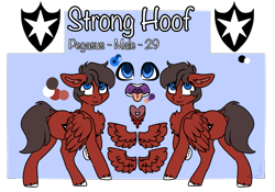 Size: 985x689 | Tagged: safe, artist:fluffyghost, oc, oc only, oc:guard strong hoof, pegasus, male, prisoners of the moon, reference sheet, solo