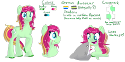 Size: 3000x1500 | Tagged: safe, artist:lindasaurie, oc, oc only, oc:strawi dinosaur, earth pony, pony, shark, agender, agender pride flag, aroace pride flag, bust, chest fluff, earth pony oc, eye clipping through hair, eyebrows, eyebrows visible through hair, full body, lineless, looking at you, open mouth, ponysona, pride, pride flag, raised hoof, reference sheet, side view, simple background, smiling, solo, transparent background, unshorn fetlocks