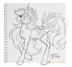 Size: 1498x1392 | Tagged: safe, artist:raychelrage, oc, oc:rachel rage, pegasus, pony, sketch, solo