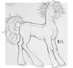 Size: 1498x1392 | Tagged: safe, artist:raychelrage, oc, oc:magenta spark, pony, unicorn, broken horn, horn, sketch, solo