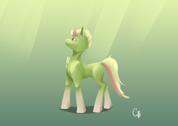 Size: 4590x3276 | Tagged: safe, artist:gemm, oc, oc only, earth pony, pony, cheek fluff, chest fluff, concave belly, fit, gradient legs, male, slender, solo, stallion, thin