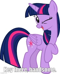 Size: 500x621 | Tagged: safe, artist:slb94, twilight sparkle, alicorn, g4, caption, flirting, image macro, imgflip, looking at you, one eye closed, talking to viewer, text, twilight sparkle (alicorn), wink, winking at you