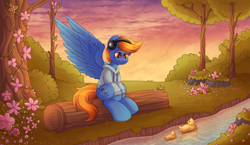 Size: 7647x4434 | Tagged: safe, artist:madelinne, oc, oc only, oc:rio tunehoof, pegasus