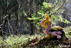 Size: 4608x3072 | Tagged: safe, artist:mgrdash, fluttershy, bat pony, pony, g4, bat ponified, flutterbat, forest, irl, nature, photo, plushie, ponies in real life, race swap, solo, tree