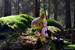 Size: 4608x3072 | Tagged: safe, artist:mgrdash, fluttershy, bat pony, g4, bat ponified, everfree forest, flutterbat, forest, irl, nature, photo, plushie, race swap, solo, tree