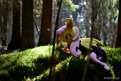 Size: 4608x3072 | Tagged: safe, artist:mgrdash, fluttershy, bat pony, g4, bat ponified, flutterbat, forest, irl, nature, photo, plushie, race swap, solo, tree