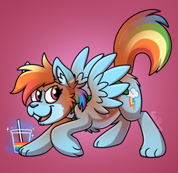 Size: 1280x1242 | Tagged: safe, artist:metallicumbrage, rainbow dash, oc, oc:kickaha, fox, pegasus, pony, cloak, clothes, eye color change, furry, furry oc, furry to pony, male to female, mid-transformation, open mouth, pink background, rainbow juice, simple background, solo, sparkles, spread wings, transformation, transgender transformation, wings