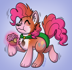 Size: 1280x1242 | Tagged: safe, artist:metallicumbrage, pinkie pie, oc, oc:kickaha, earth pony, fox, pony, g4, blue background, cloak, clothes, commission, cupcake, eyes closed, food, furry, furry oc, furry to pony, gradient background, magic, magic aura, male to female, mid-transformation, solo, sparkles, transformation, transgender transformation