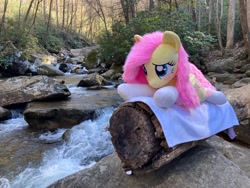 Size: 4032x3024 | Tagged: safe, artist:qtpony, fluttershy, pony, g4, clothes, forest, irl, lying down, nature, photo, plushie, prone, river, socks, solo, tree, water