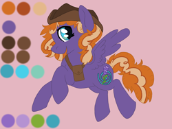 Size: 2000x1500 | Tagged: safe, artist:annuthecatgirl, oc, oc only, pegasus, concept art, hat, reference sheet, satchel