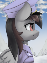 Size: 3120x4200 | Tagged: safe, artist:闪电_lightning, oc, oc only, equestria at war mod, bust, not octavia, portrait, snow, solo, tree