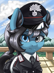 Size: 3120x4200 | Tagged: safe, artist:闪电_lightning, oc, oc only, equestria at war mod, bust, fence, heterochromia, mountain, portrait, solo