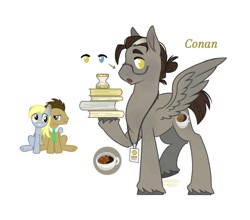 Size: 1095x962 | Tagged: safe, artist:anemonaii, derpy hooves, doctor whooves, time turner, oc, oc only, oc:conan, pegasus, pony, g4, brown mane, brown tail, colored eyebrows, colored hooves, colored pinnae, freckles, glasses, hair bun, heterochromia, hoof hold, lanyard, leg freckles, male, next generation, offspring, open mouth, parent:derpy hooves, parent:doctor whooves, parents:doctorderpy, pegasus oc, profile, raised eyebrows, raised hoof, reference, short mane, short tail, signature, simple background, solo, spread wings, stallion, standing, tail, text, unshorn fetlocks, white background, wing freckles, wingding eyes, wings