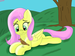 Size: 2000x1500 | Tagged: safe, artist:kenzie, fluttershy, bird, pegasus, pony, g4, crossed legs, cute, happy, hill, looking at something, lying down, on side, photoshop, roots, scenery, shyabetes, signature, simple background, simple shading, smiling, tree, wings